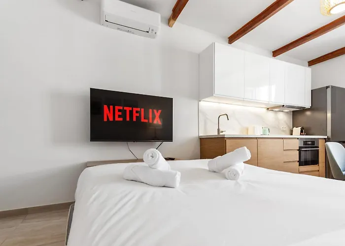 Apartment L'aubernon - Hypercentre - Old - Ac - *